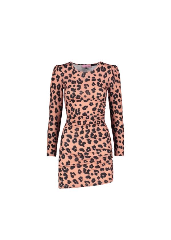 Animal-print dress Denny Rose