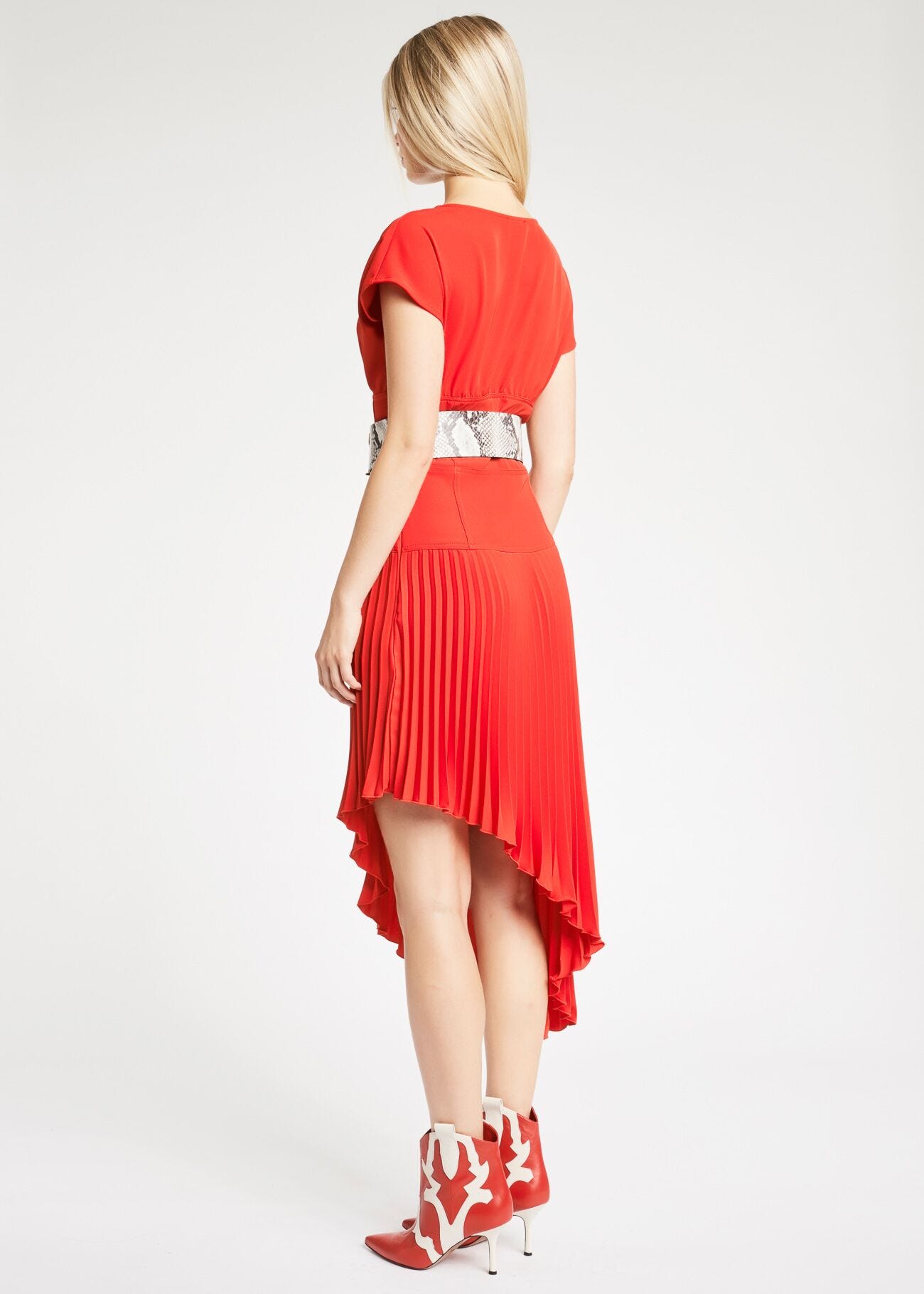 Dress with pleated skirt