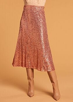 Skirt with sequin embroidery Denny Rose