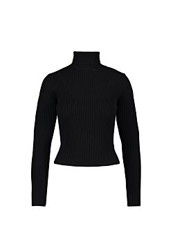 Polo neck jumper Denny Rose